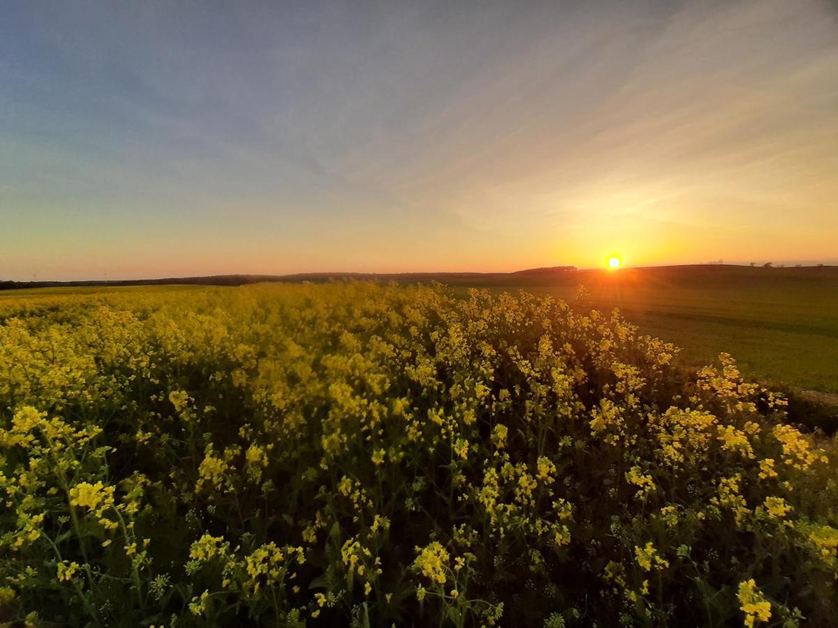 Noclegi Zdzislaw Sieradzki Zbiczno Luaran gambar