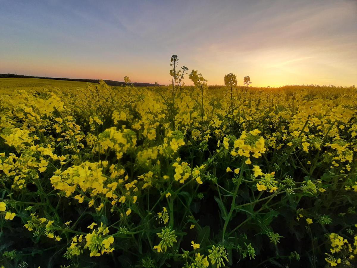 Noclegi Zdzislaw Sieradzki Zbiczno Luaran gambar