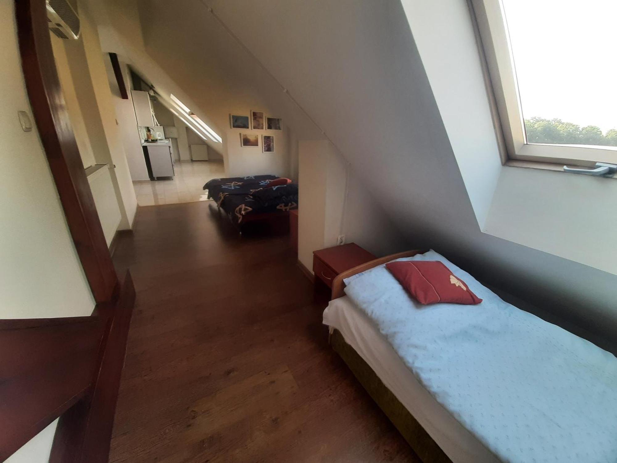 Noclegi Zdzislaw Sieradzki Zbiczno Luaran gambar